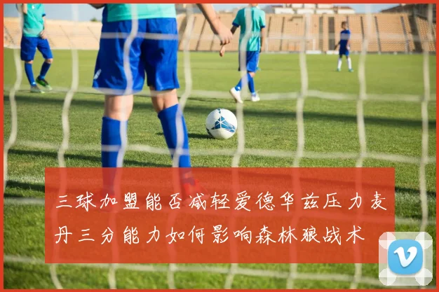 三球加盟能否减轻爱德华兹压力麦丹三分能力如何影响森林狼战术