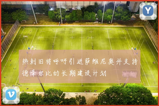 热刺旧将呼吁引进萨维尼奥并支持德泽尔比的长期建设计划